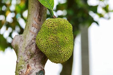 《死亡搁浅2》强化战斗系统 设计师透露三大核心玩法